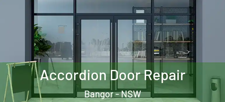  Accordion Door Repair Bangor - NSW