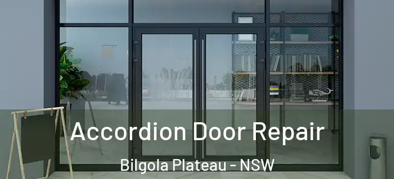 Accordion Door Repair Bilgola Plateau - NSW