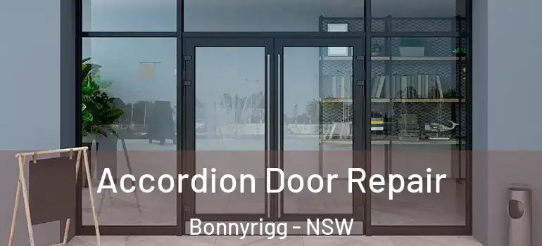 Accordion Door Repair Bonnyrigg - NSW