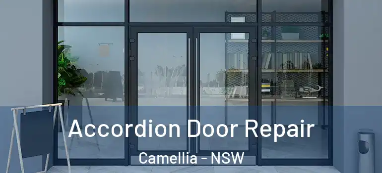 Accordion Door Repair Camellia - NSW