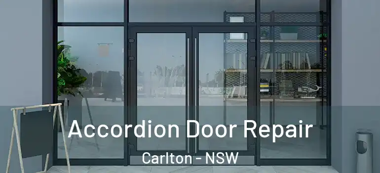 Accordion Door Repair Carlton - NSW