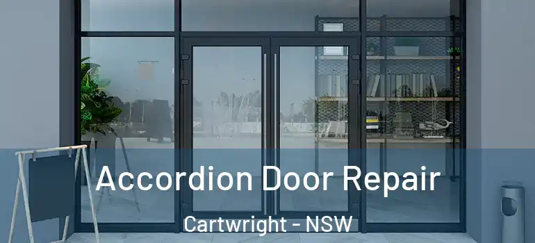 Accordion Door Repair Cartwright - NSW