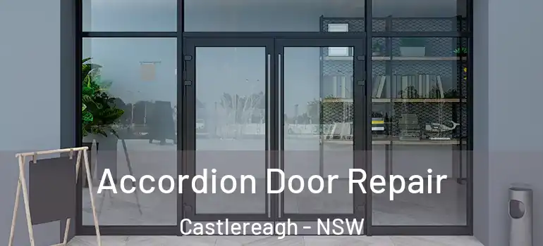  Accordion Door Repair Castlereagh - NSW
