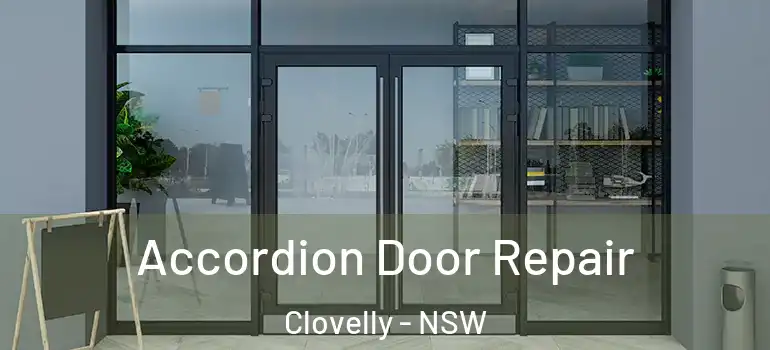 Accordion Door Repair Clovelly - NSW