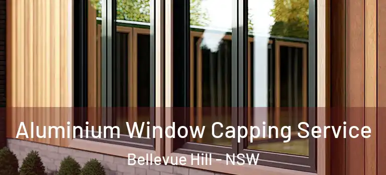 Aluminium Window Capping Service Bellevue Hill - NSW