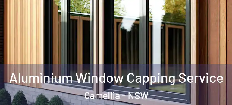  Aluminium Window Capping Service Camellia - NSW