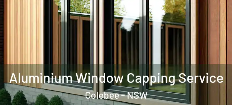  Aluminium Window Capping Service Colebee - NSW