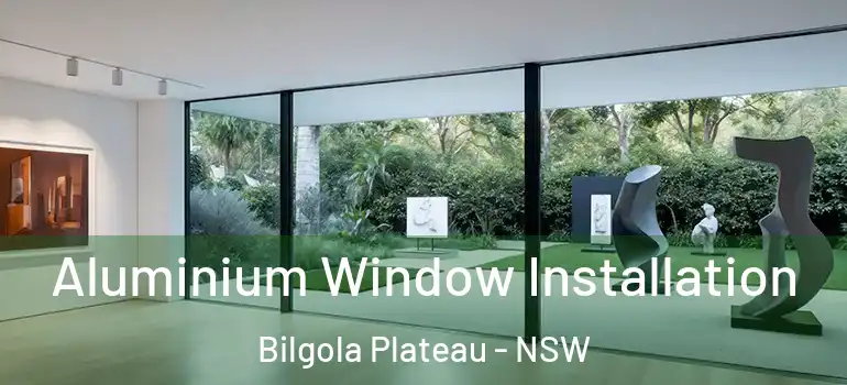 Aluminium Window Installation Bilgola Plateau - NSW