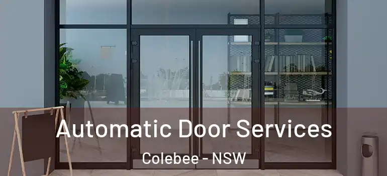 Automatic Door Services Colebee - NSW