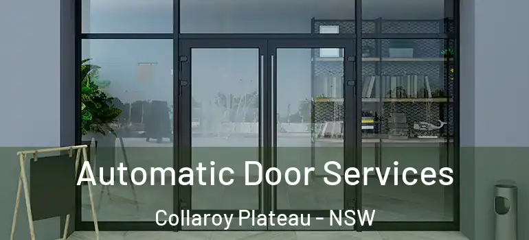 Automatic Door Services Collaroy Plateau - NSW