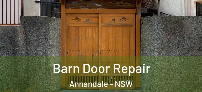 Barn Door Repair Annandale - NSW
