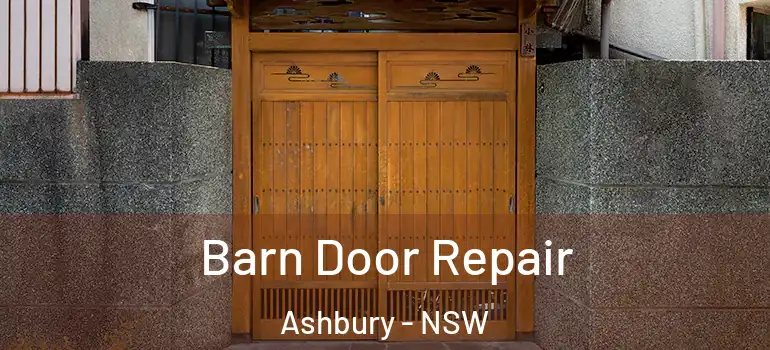 Barn Door Repair Ashbury - NSW
