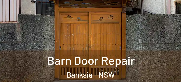 Barn Door Repair Banksia - NSW