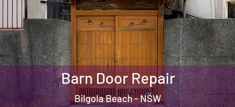 Barn Door Repair Bilgola Beach - NSW