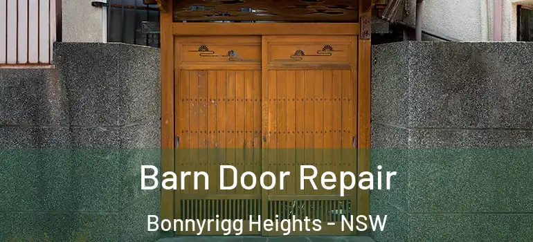 Barn Door Repair Bonnyrigg Heights - NSW