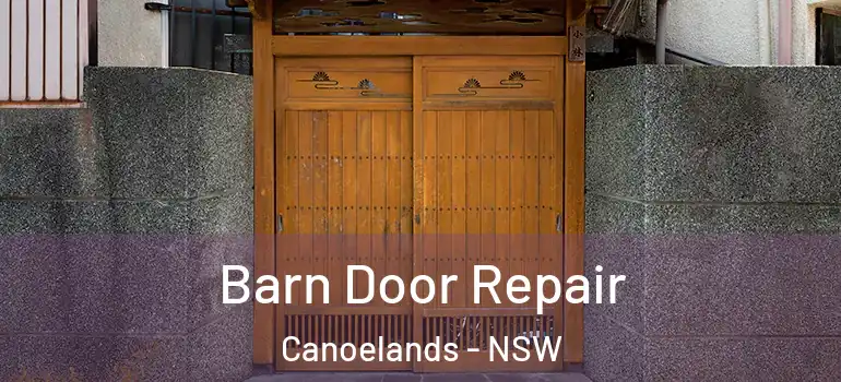 Barn Door Repair Canoelands - NSW