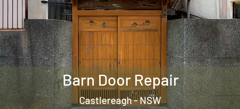 Barn Door Repair Castlereagh - NSW