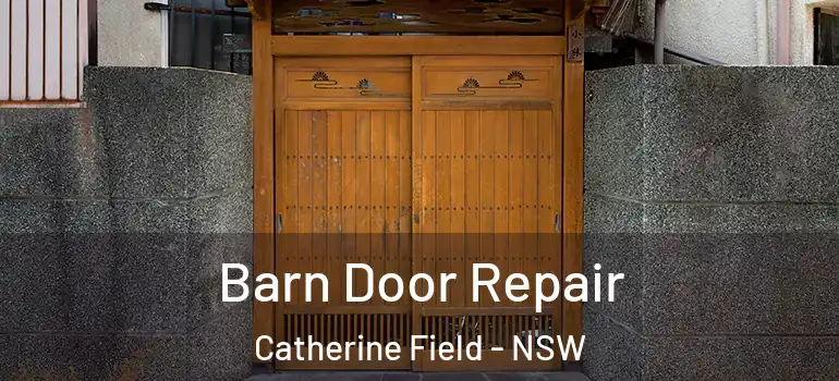 Barn Door Repair Catherine Field - NSW