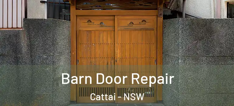 Barn Door Repair Cattai - NSW
