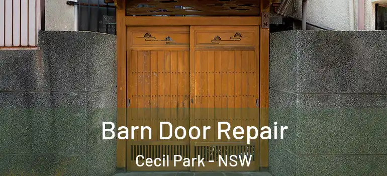 Barn Door Repair Cecil Park - NSW