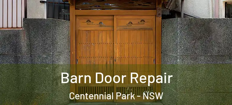 Barn Door Repair Centennial Park - NSW