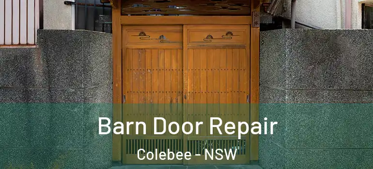 Barn Door Repair Colebee - NSW
