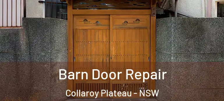 Barn Door Repair Collaroy Plateau - NSW