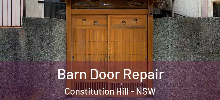 Barn Door Repair Constitution Hill - NSW
