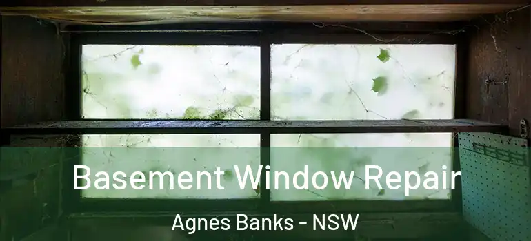 Basement Window Repair Agnes Banks - NSW