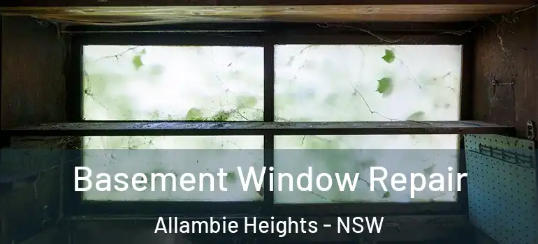 Basement Window Repair Allambie Heights - NSW