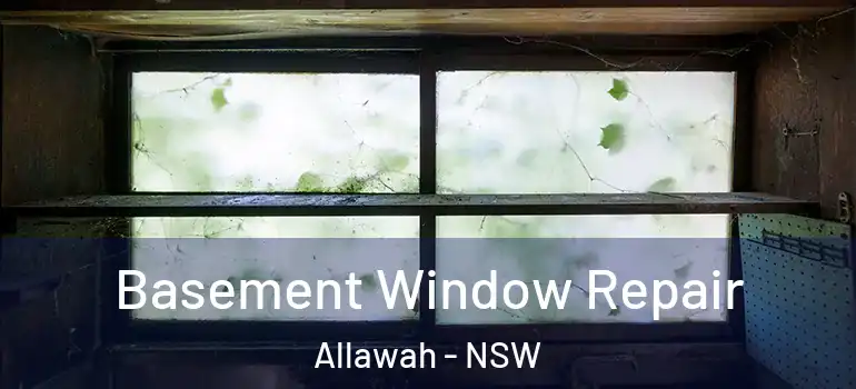 Basement Window Repair Allawah - NSW