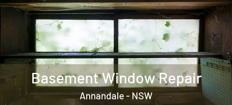 Basement Window Repair Annandale - NSW