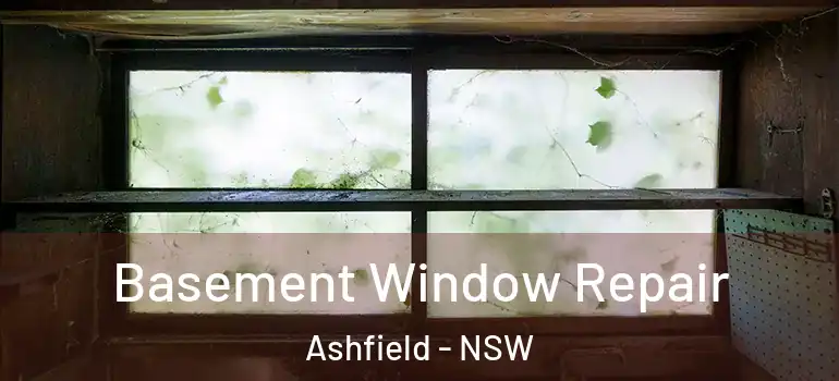 Basement Window Repair Ashfield - NSW