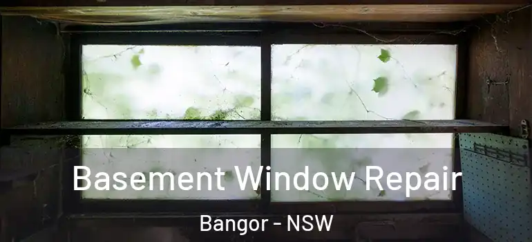 Basement Window Repair Bangor - NSW