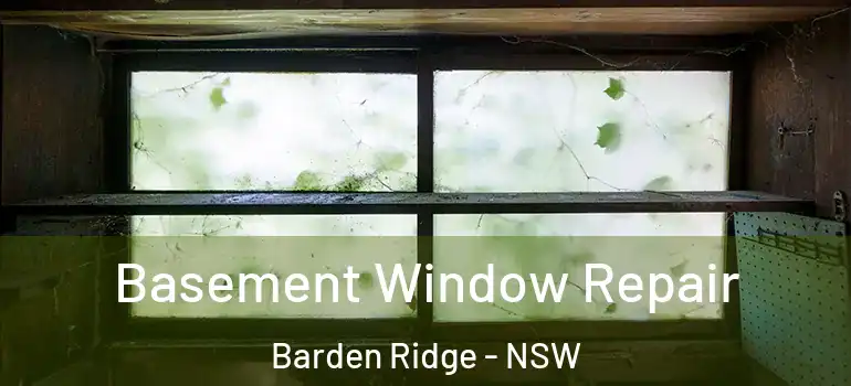 Basement Window Repair Barden Ridge - NSW