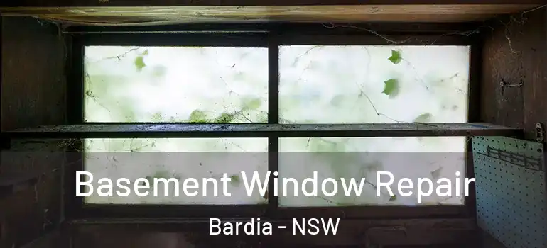 Basement Window Repair Bardia - NSW