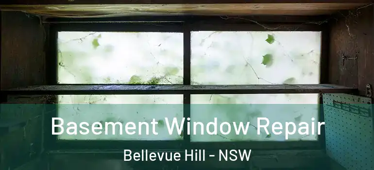 Basement Window Repair Bellevue Hill - NSW