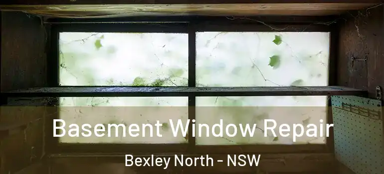 Basement Window Repair Bexley North - NSW