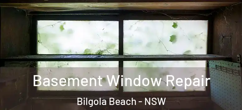 Basement Window Repair Bilgola Beach - NSW