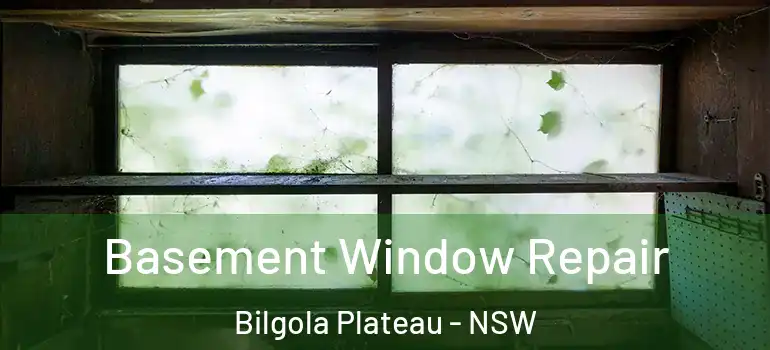 Basement Window Repair Bilgola Plateau - NSW