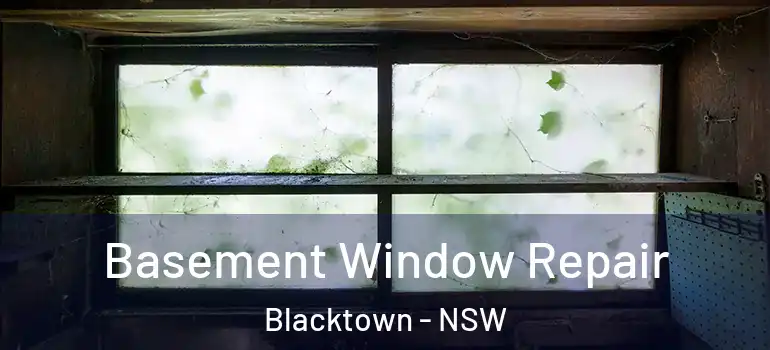 Basement Window Repair Blacktown - NSW