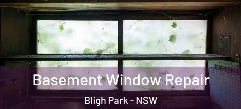 Basement Window Repair Bligh Park - NSW