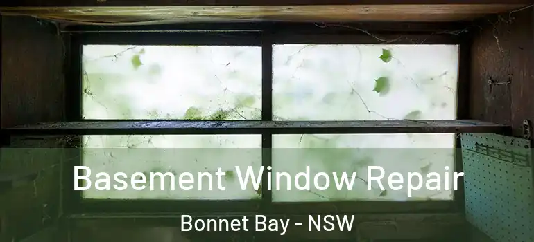 Basement Window Repair Bonnet Bay - NSW
