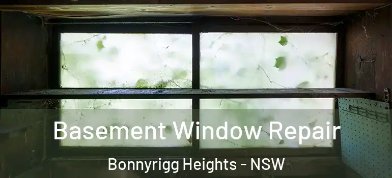 Basement Window Repair Bonnyrigg Heights - NSW