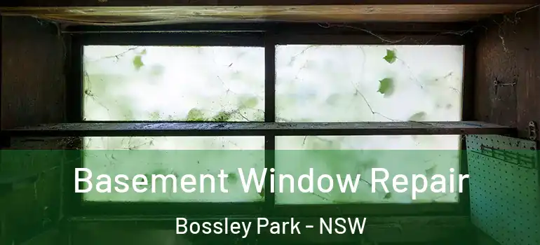 Basement Window Repair Bossley Park - NSW