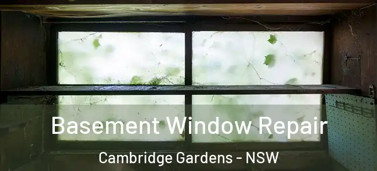 Basement Window Repair Cambridge Gardens - NSW