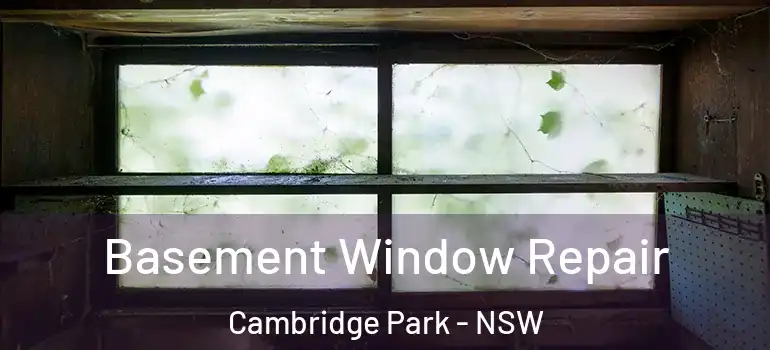  Basement Window Repair Cambridge Park - NSW