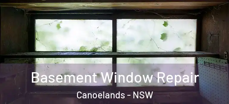 Basement Window Repair Canoelands - NSW
