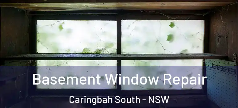 Basement Window Repair Caringbah South - NSW