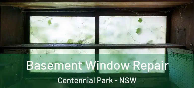 Basement Window Repair Centennial Park - NSW